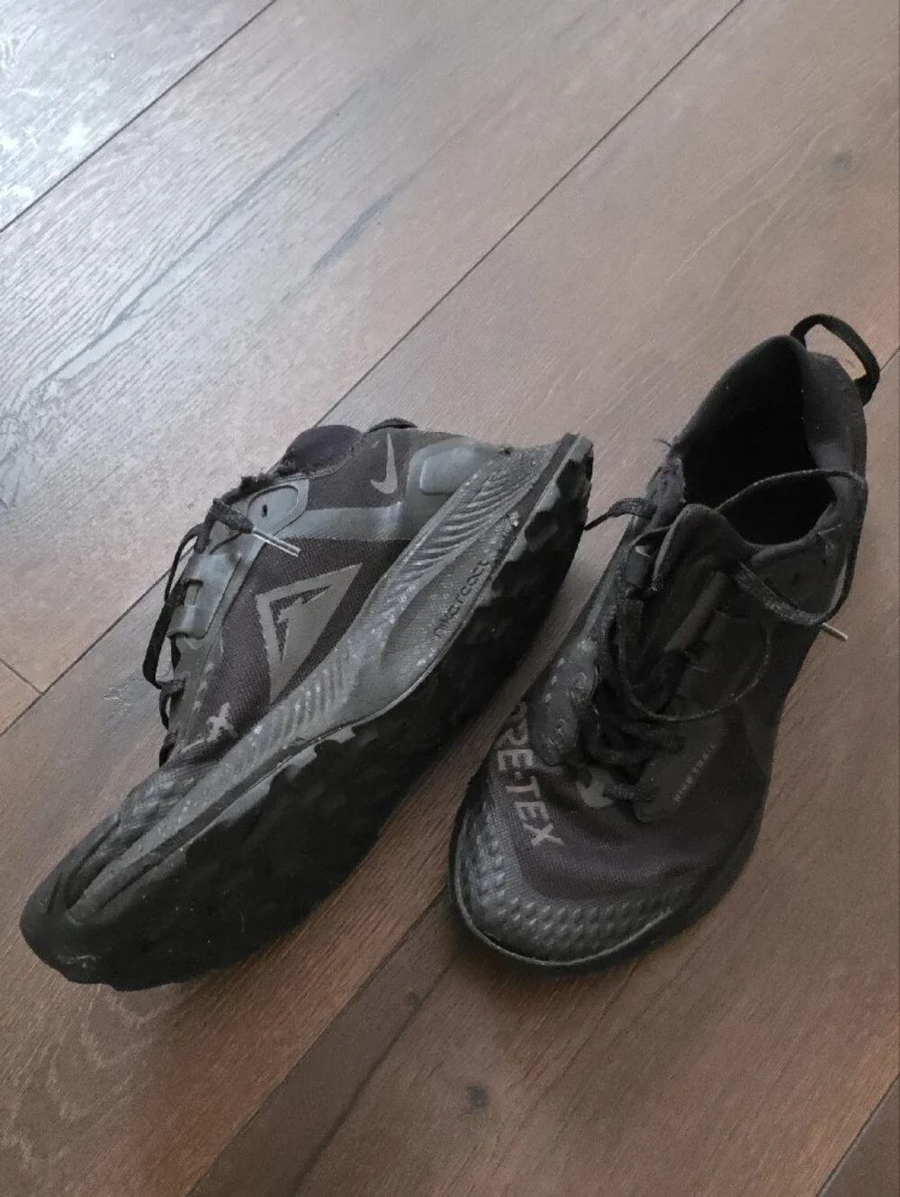 Nike Pegasus Trail 3 GORE-TEX running shoes